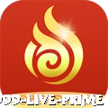abc999 Live Prime