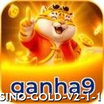 GAME Casino Gold v2.1.1 - 6dpg 🎰📉 Cashout parcial em big win: saque 50% do lucro imediato — jogue com “dinheiro da casa” e minimize risco! 🏧💰